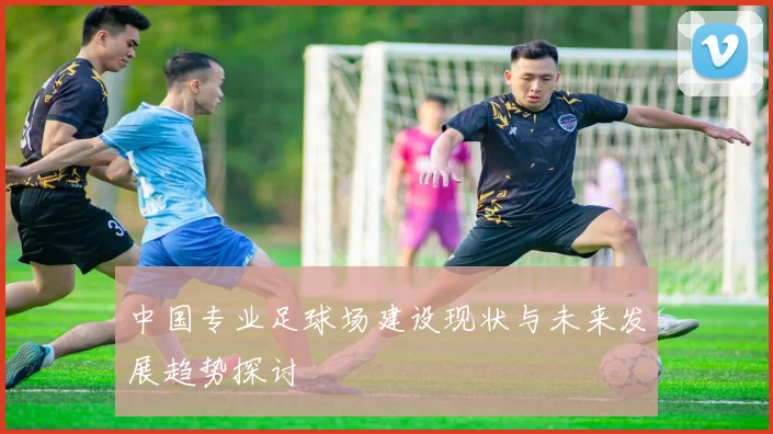中国专业足球场建设现状与未来发展趋势探讨